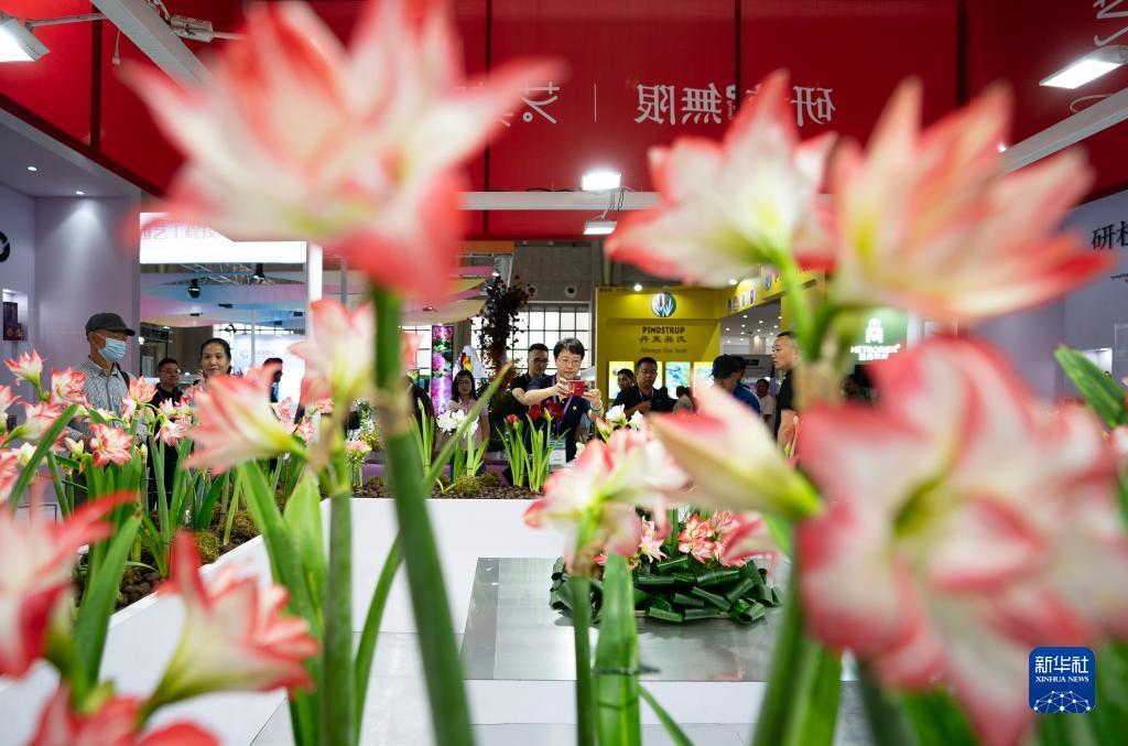 威尼斯官网网址